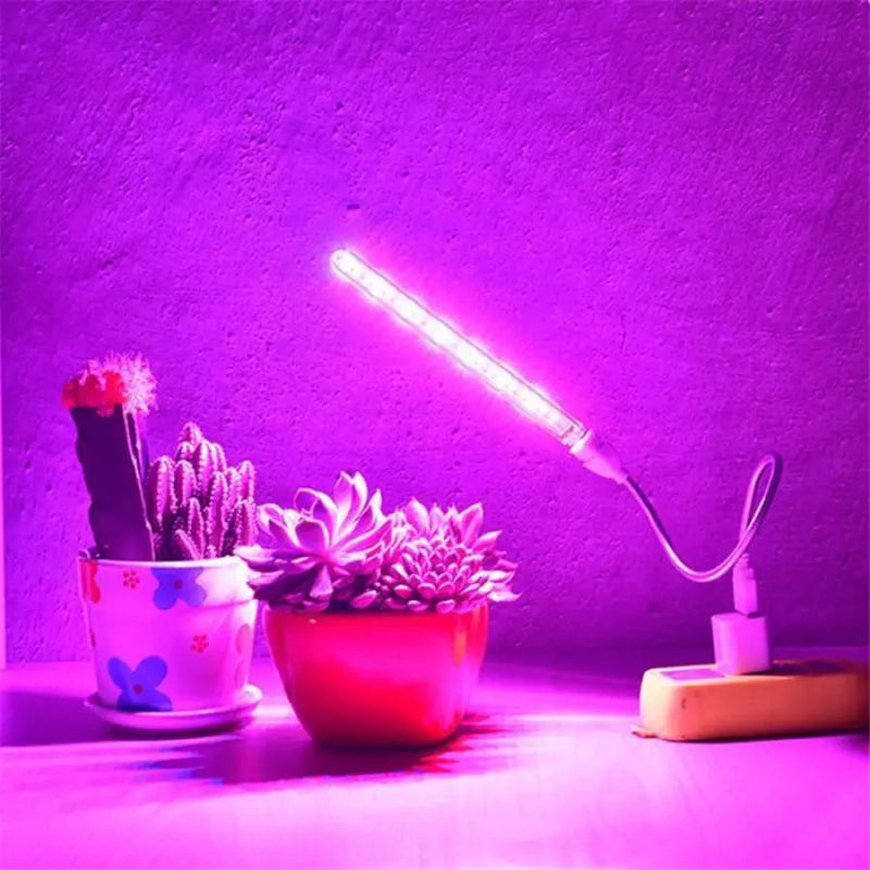 Azen Store apresenta: Luz Led para Crescimento de Plantas Interiores USB - Lumi Veg™. Adquira já a solução definitiva para o crescimento das suas plantas! Aproveite a promoção por tempo limitado e garanta a sua. Não perca essa oportunidade!