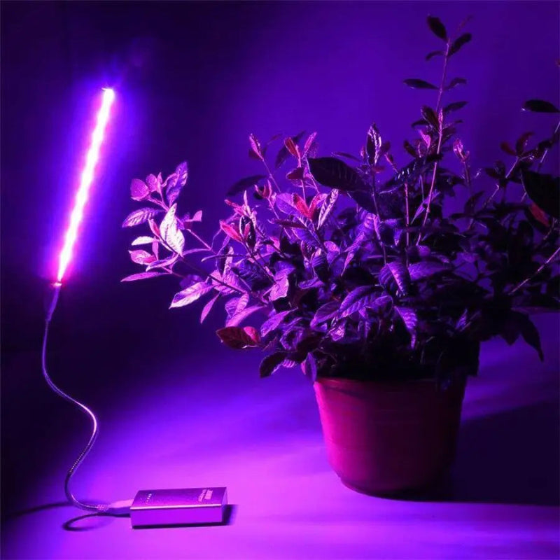 Azen Store apresenta: Luz Led para Crescimento de Plantas Interiores USB - Lumi Veg™. Adquira já a solução definitiva para o crescimento das suas plantas! Aproveite a promoção por tempo limitado e garanta a sua. Não perca essa oportunidade!